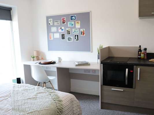 Bronze Studio room type